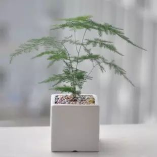 闺蜜过生日送花寄语_追女孩子的送花寄语_送花寄语