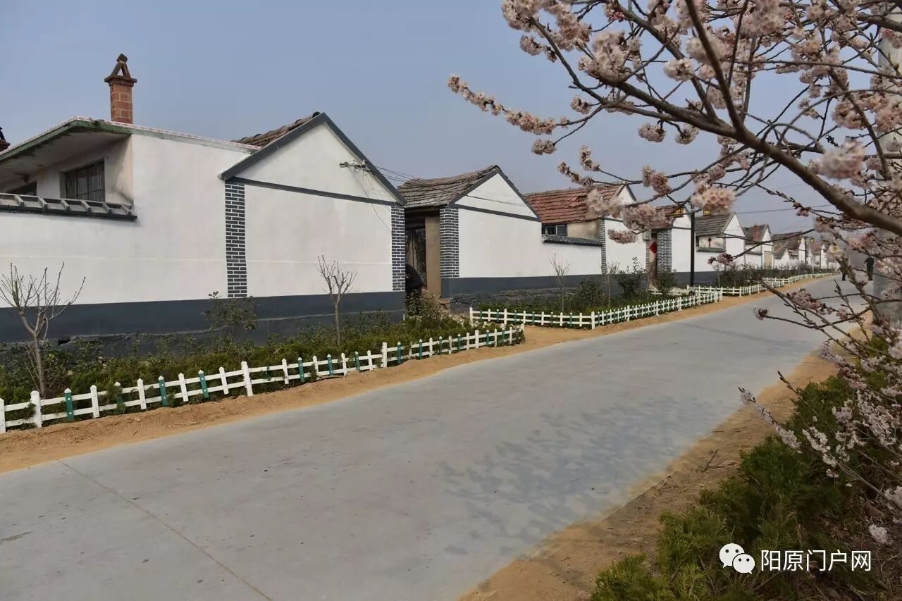 某地农村,土墙刷白漆,画青砖,村民称为遮羞墙