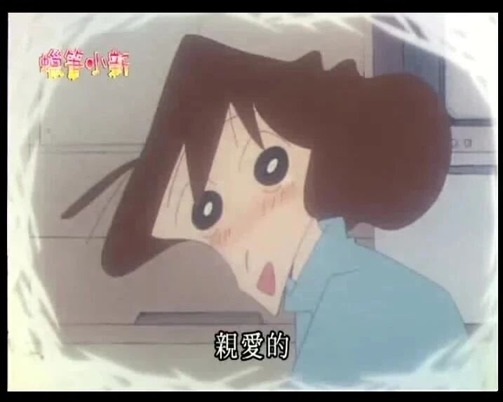 蜡笔小新第二季 640 找新的家