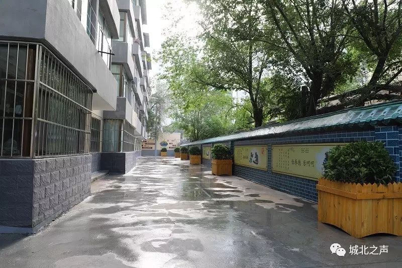 板楼是什么楼房_板楼是什么意思?_板楼的定义是指