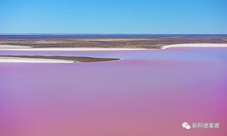 美呆!南澳艾尔湖近期呈现缤纷色彩 50年一遇速去围观