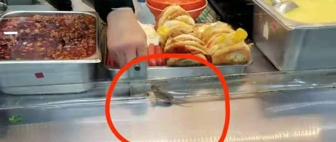 吐了！北京一高校食堂惊现老鼠？学生：不讲武德，耗子尾汁！