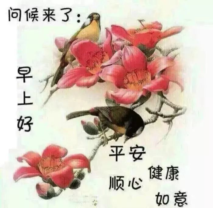 最新版大家早上好表情图片大全清晨大家早上好问候祝福语动画表情