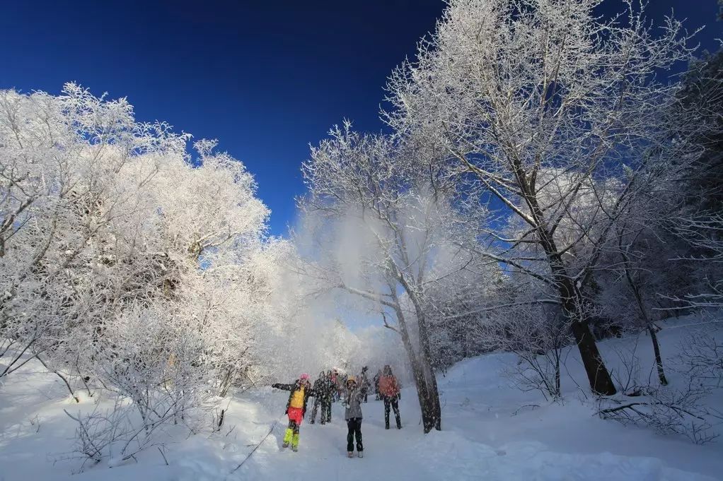 【寒假 | 亲子】雪国奇遇记:原生态雪村,唯美雪乡,林海雪原,亚布力滑雪,吊水楼瀑布,跟木塔去童话世界邂逅一场属于你们的冰雪奇缘