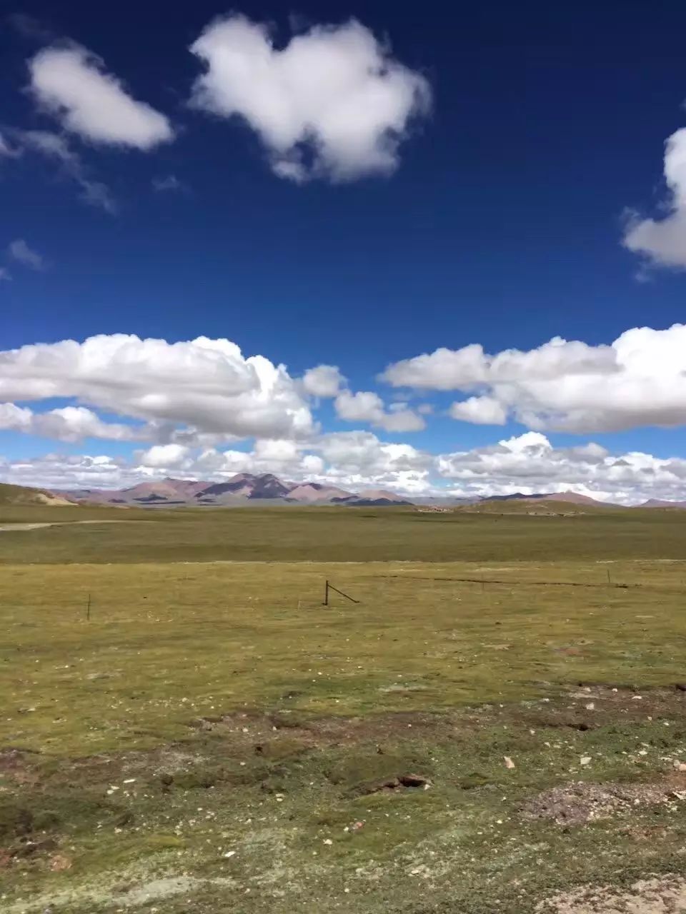 游记丨青藏高原的美,你要用心来感应