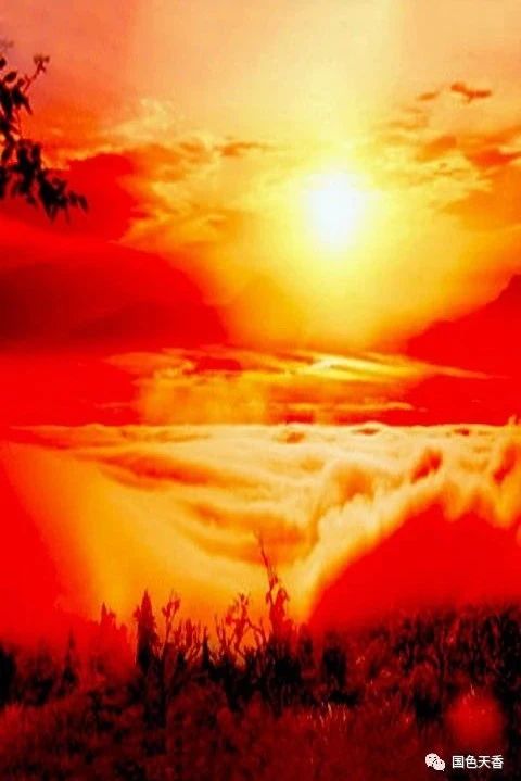 醉在夕阳里，太美了！