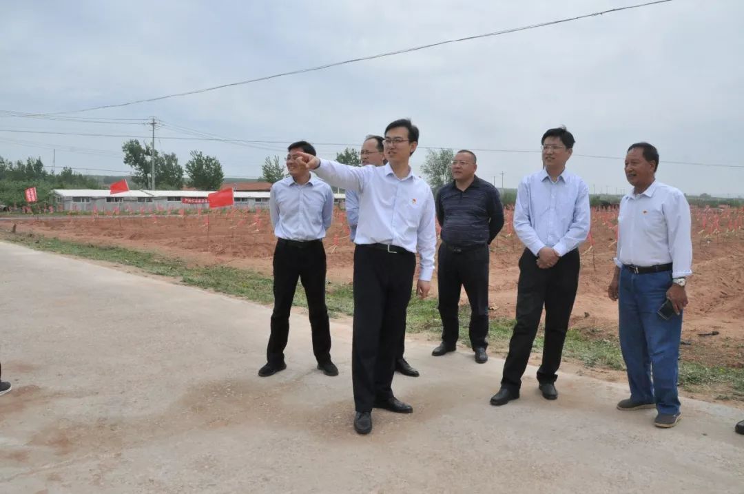 烟台市委组织部领导到栖霞调研村级党组织领办合作社发展集体经济工作