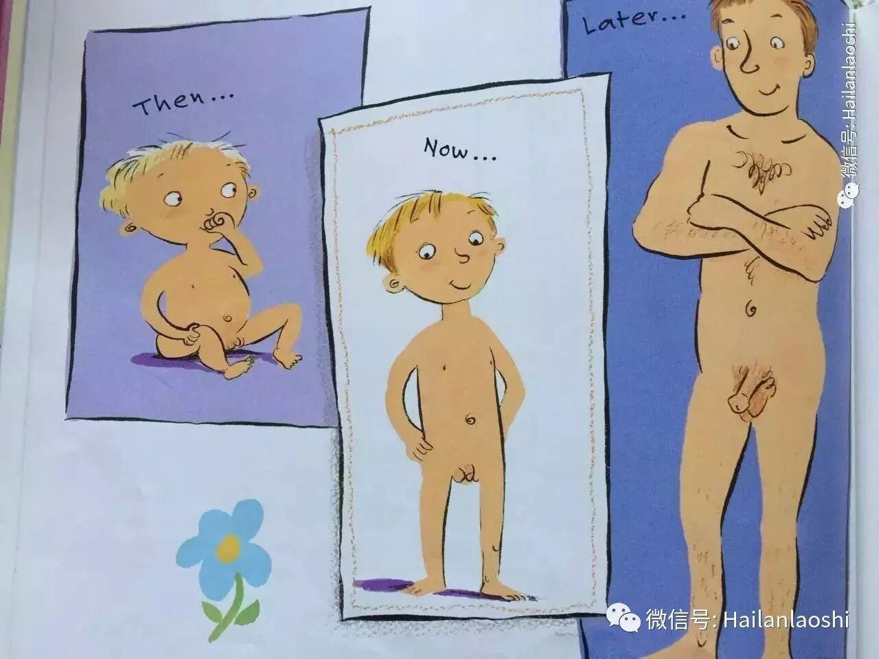 也是说男人和女人相爱如何如何，对爱的渲染更多。也用拟人化来表现精子和卵子的结合。