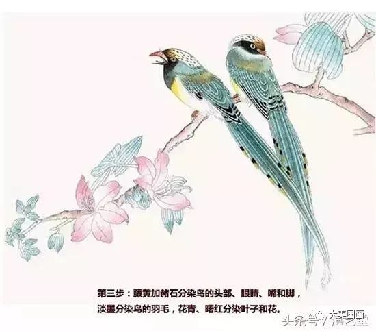 第三步:头部加赭石分染鸟的眼睛,课件,嘴和脚,淡墨分染鸟的藤黄,花青弟子规讲解第四章羽毛图片