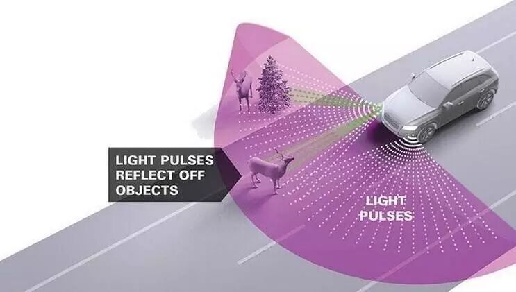 ȸԶʻؼ״״,Զʻ,ؼ״