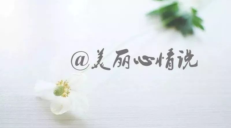 【夜听】我,不会吵,不会闹,心痛了用沉默代替……