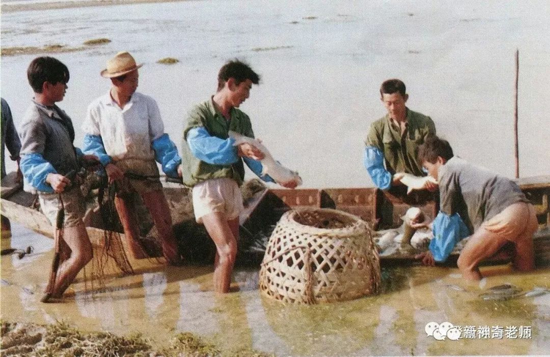 【刷爆】澄海农村生活的怀旧照片,满满7080的回忆!