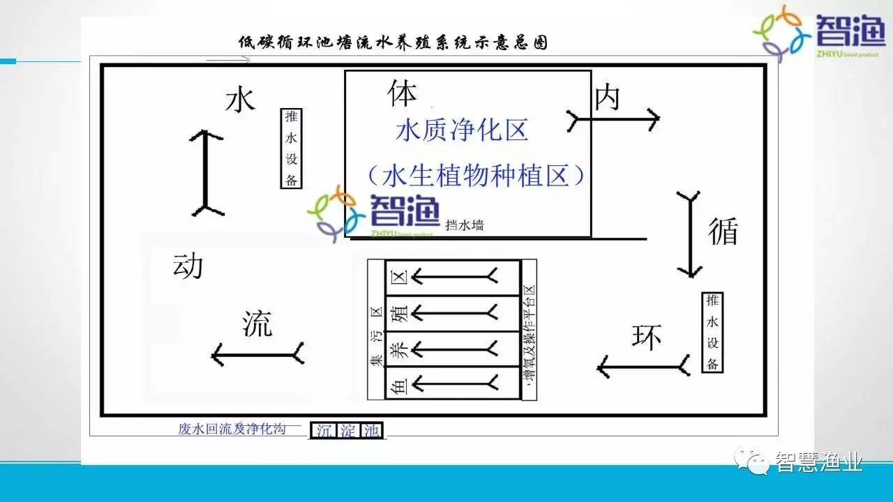 【干货】详解池塘内循环水养鱼建造的技术要点!