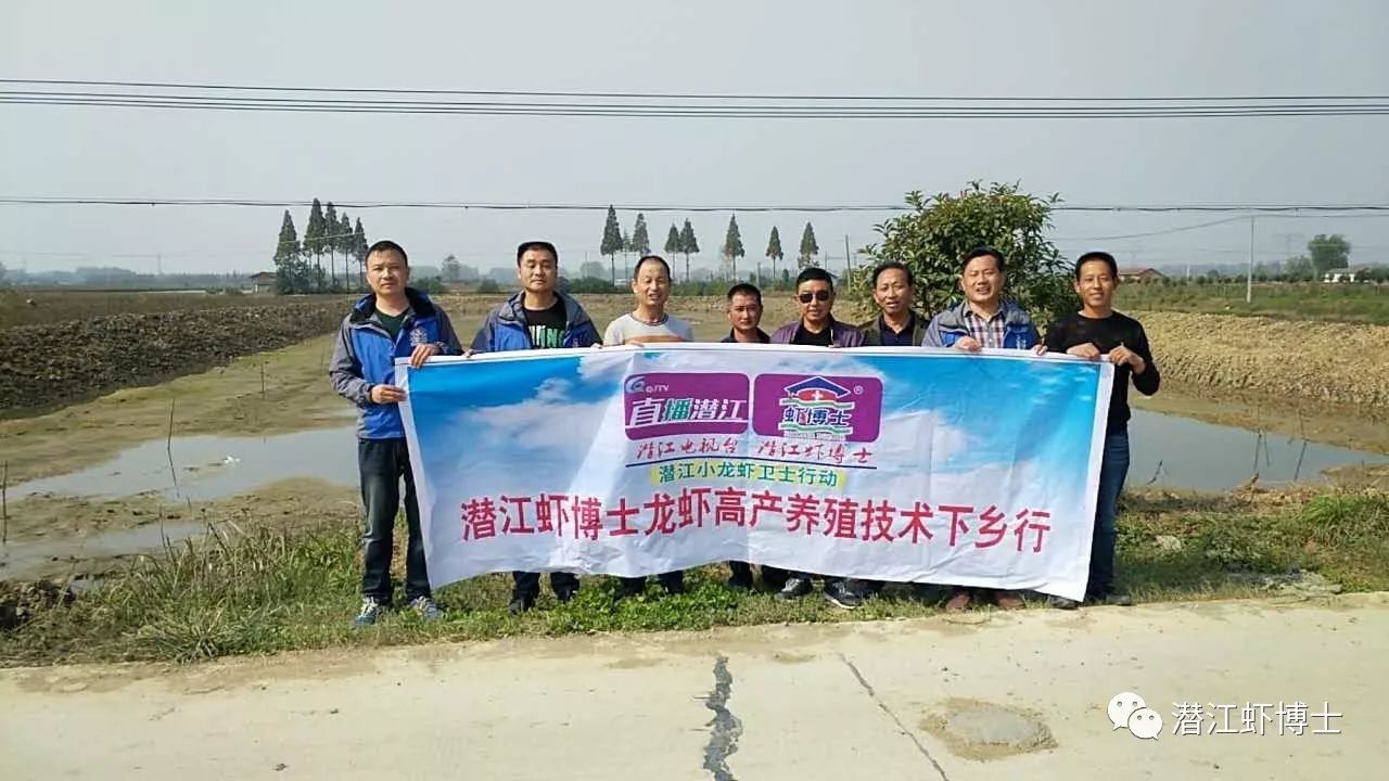 石首,黄梅,钟祥,汉川,洪湖,监利,云梦等地潜江虾博士龙虾高产养殖技术
