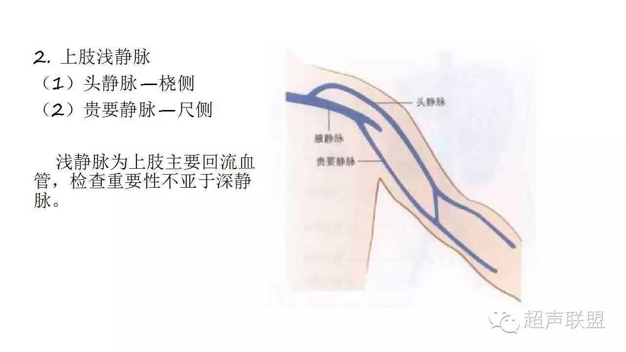 描述瘘口前后动,静脉血流方向.
