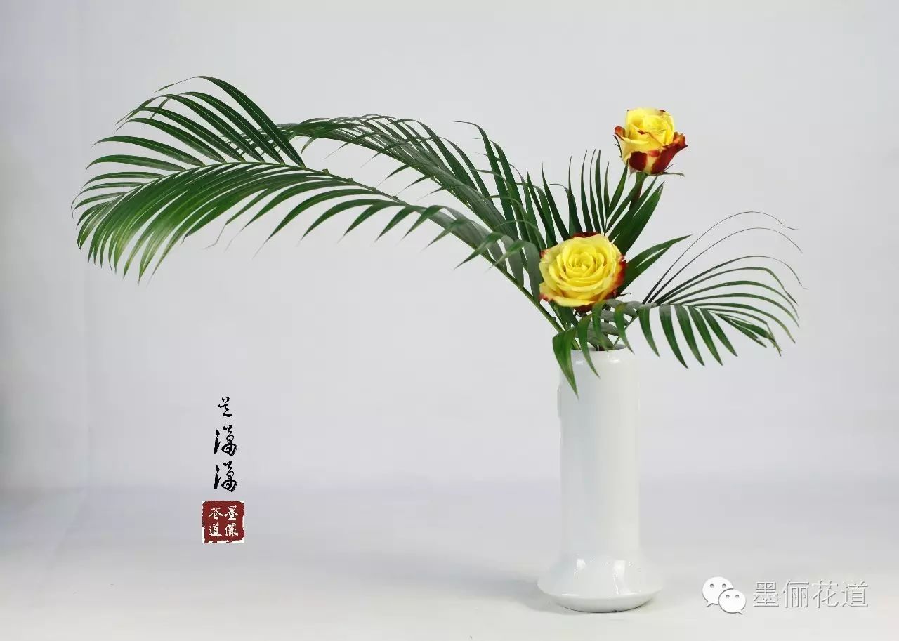 墨俪拾花 散尾葵