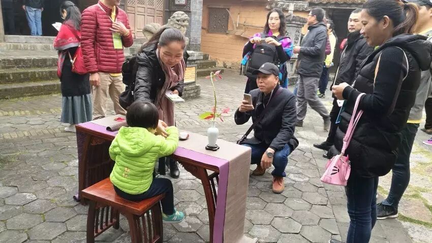 大益庄园漫步 共享茶趣天堂