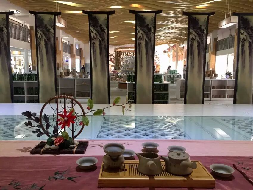 大益庄园漫步 共享茶趣天堂