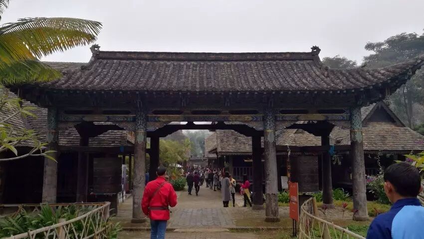 大益庄园漫步 共享茶趣天堂