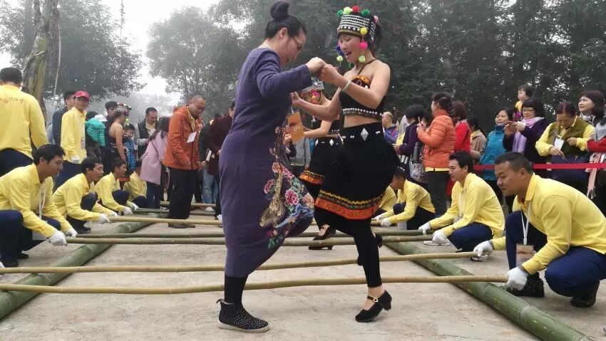 大益庄园漫步 共享茶趣天堂