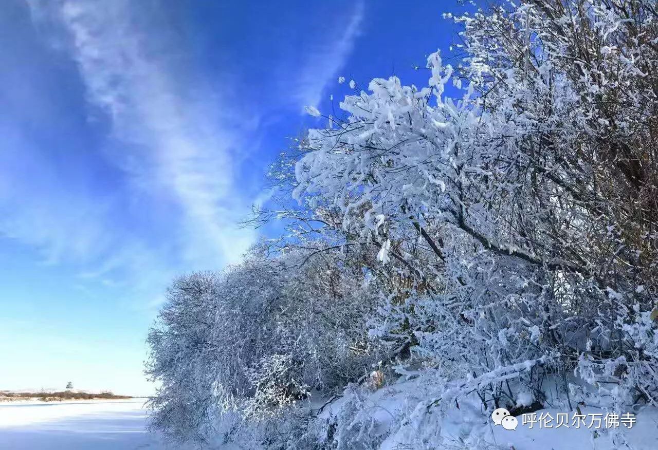 海拉尔雪景