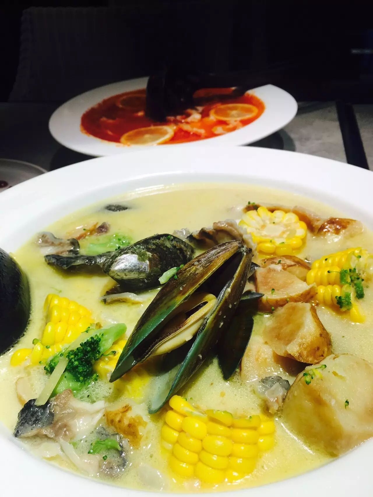 圆鳍鱼_戴氏狼鳍鱼_长鳍鱲鱼宽鳍鱲