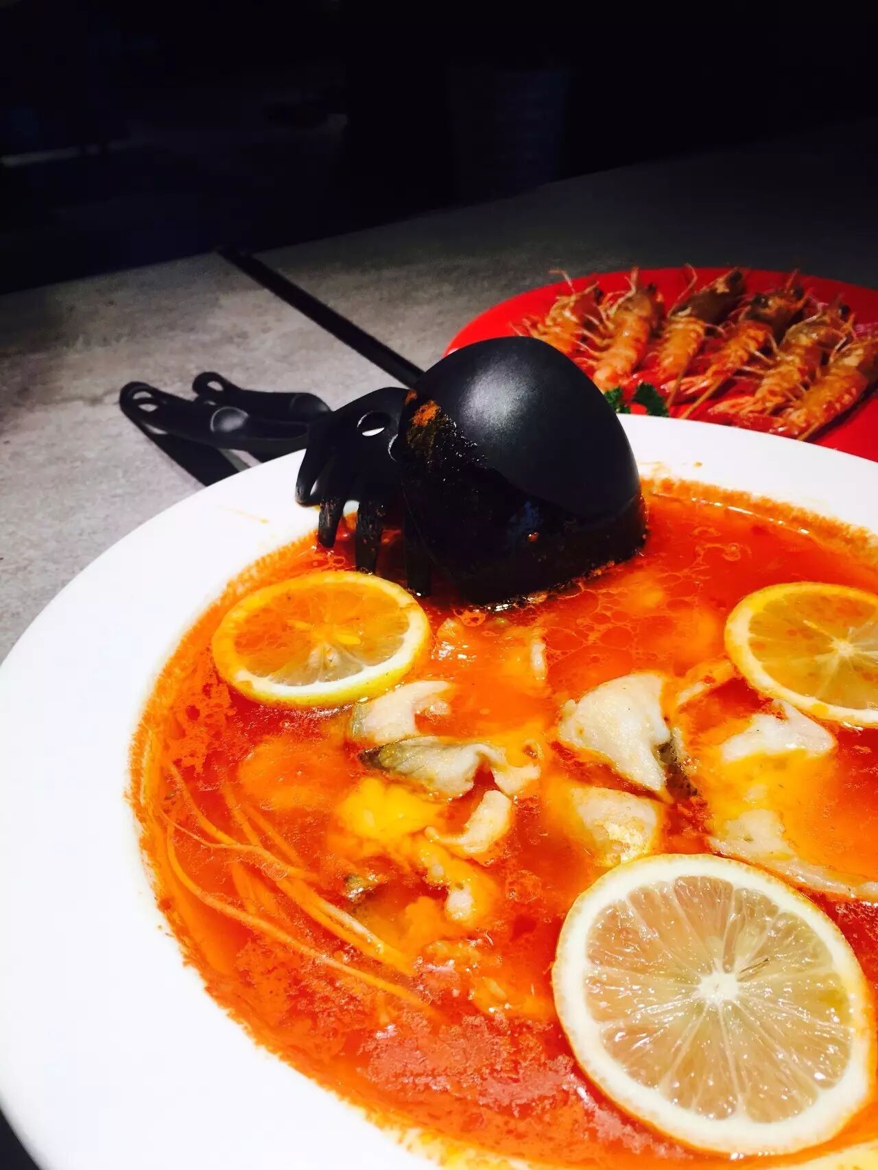 圆鳍鱼_戴氏狼鳍鱼_长鳍鱲鱼宽鳍鱲