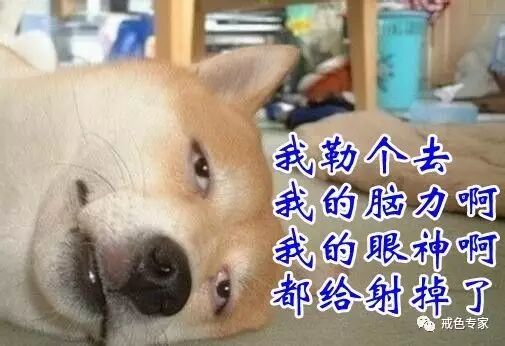 性瘾的形成及色情影片对人的恶劣影响！