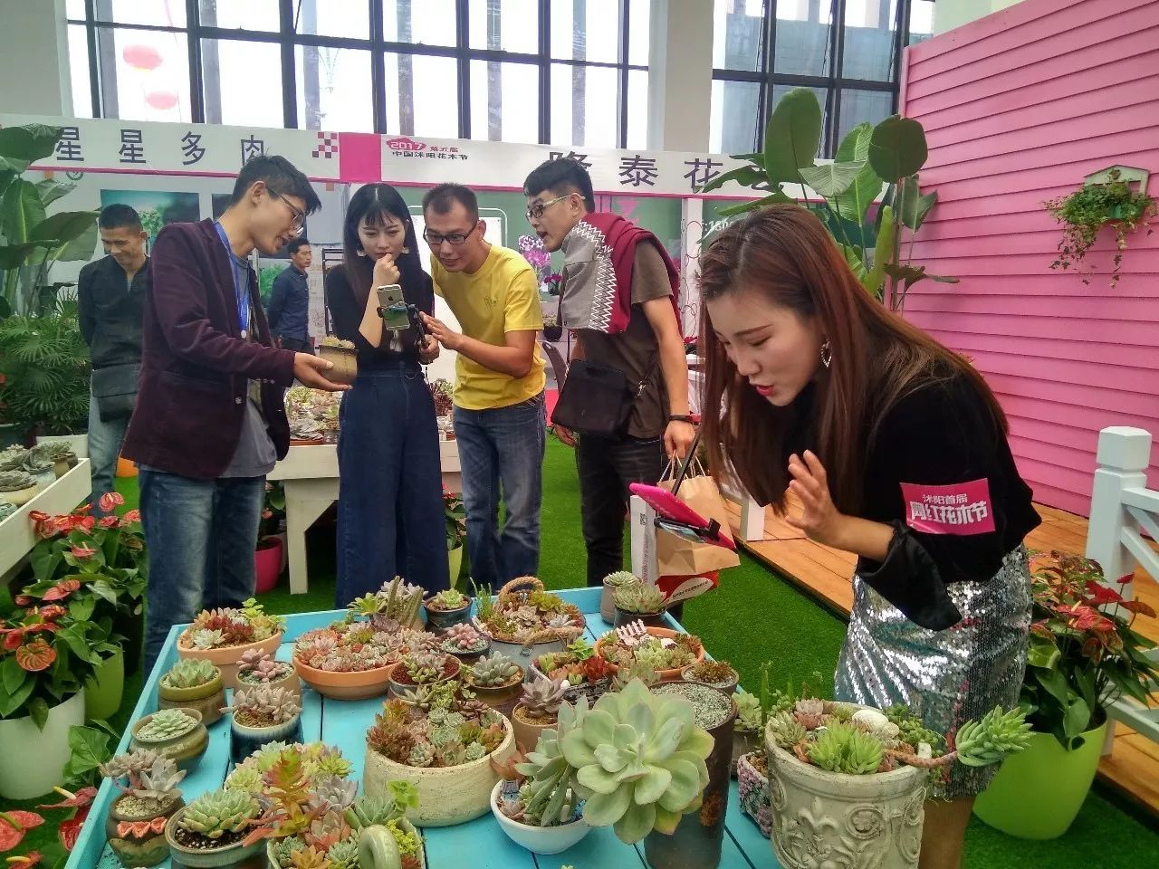 十大网红"网上直播沭阳花木节 四小时吸粉60万人销售额超150万元