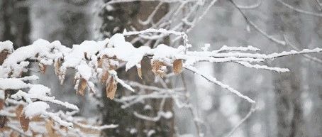 金塔明天的天气怎样样