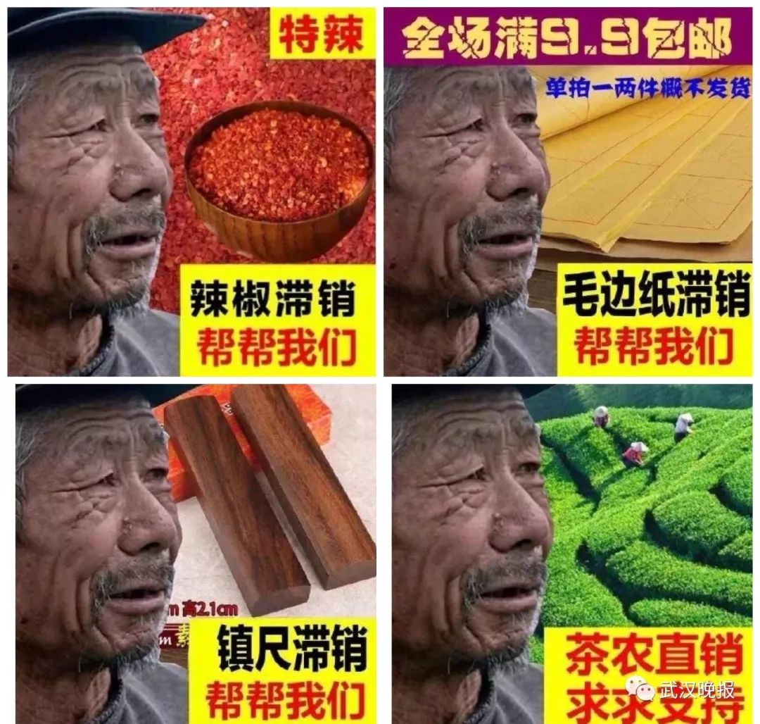 "滞销大爷"?滞销,你大爷的!╮(╯_╰)╭