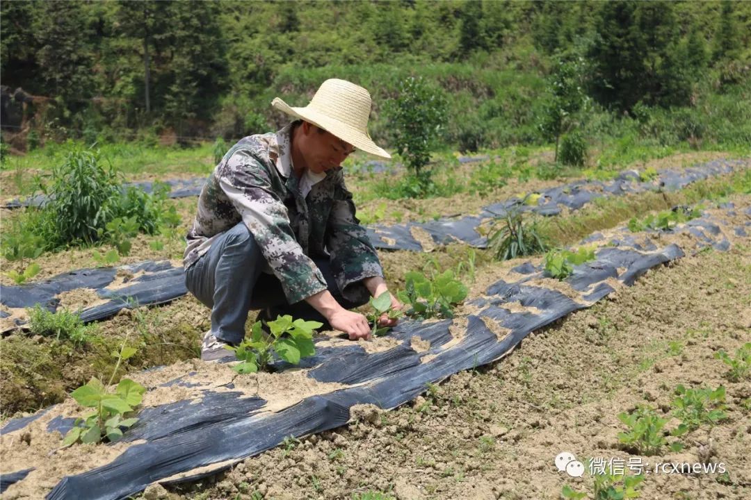 汝城新闻网