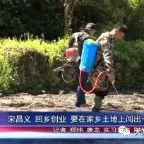 宋昌义回乡创业  要在家乡土地上闯出一片天