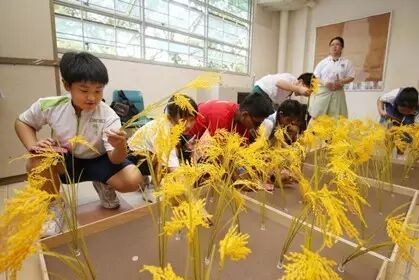 新加坡aeis预科班,AEIS考试真题下载,国内AEIS培训班