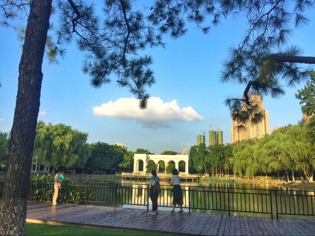 常青公园自常青,捉住夏的尾巴