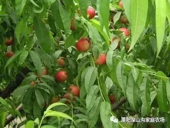 饿木饿火命_饿刑_我是饿一饿