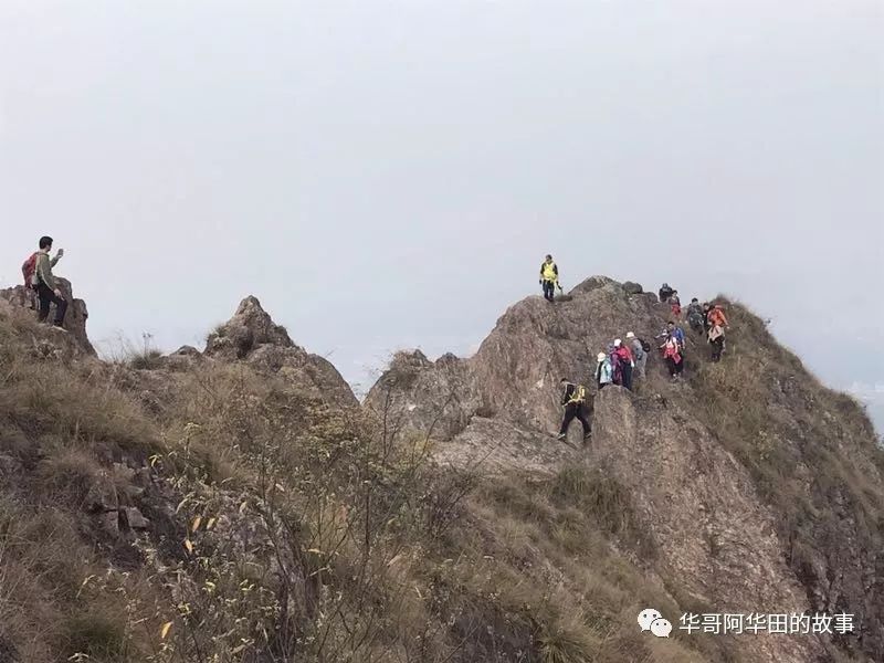 最美山脊线—永康白云山上的来客