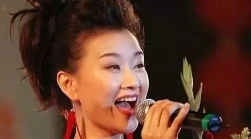 宋祖英经典老歌30首,首首精彩,曲曲动听!