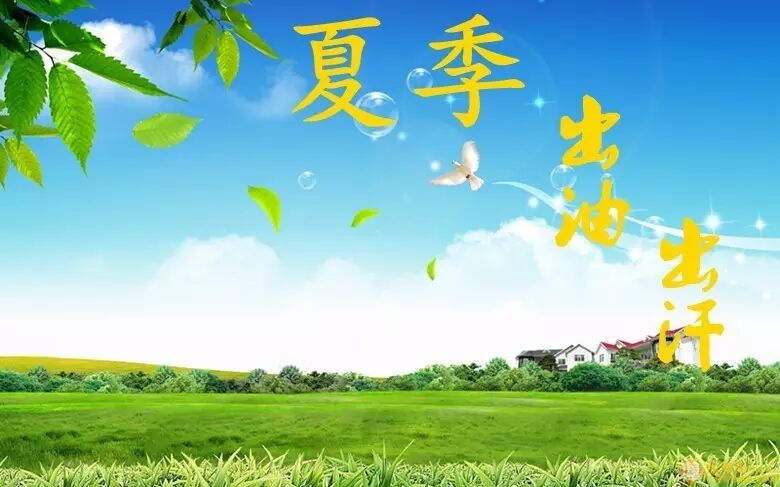 夏季养发生发之要诀！