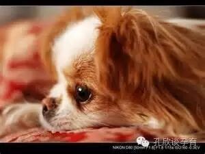 有关怀孕前后,你知道什么话问的最多吗?-怀孕期