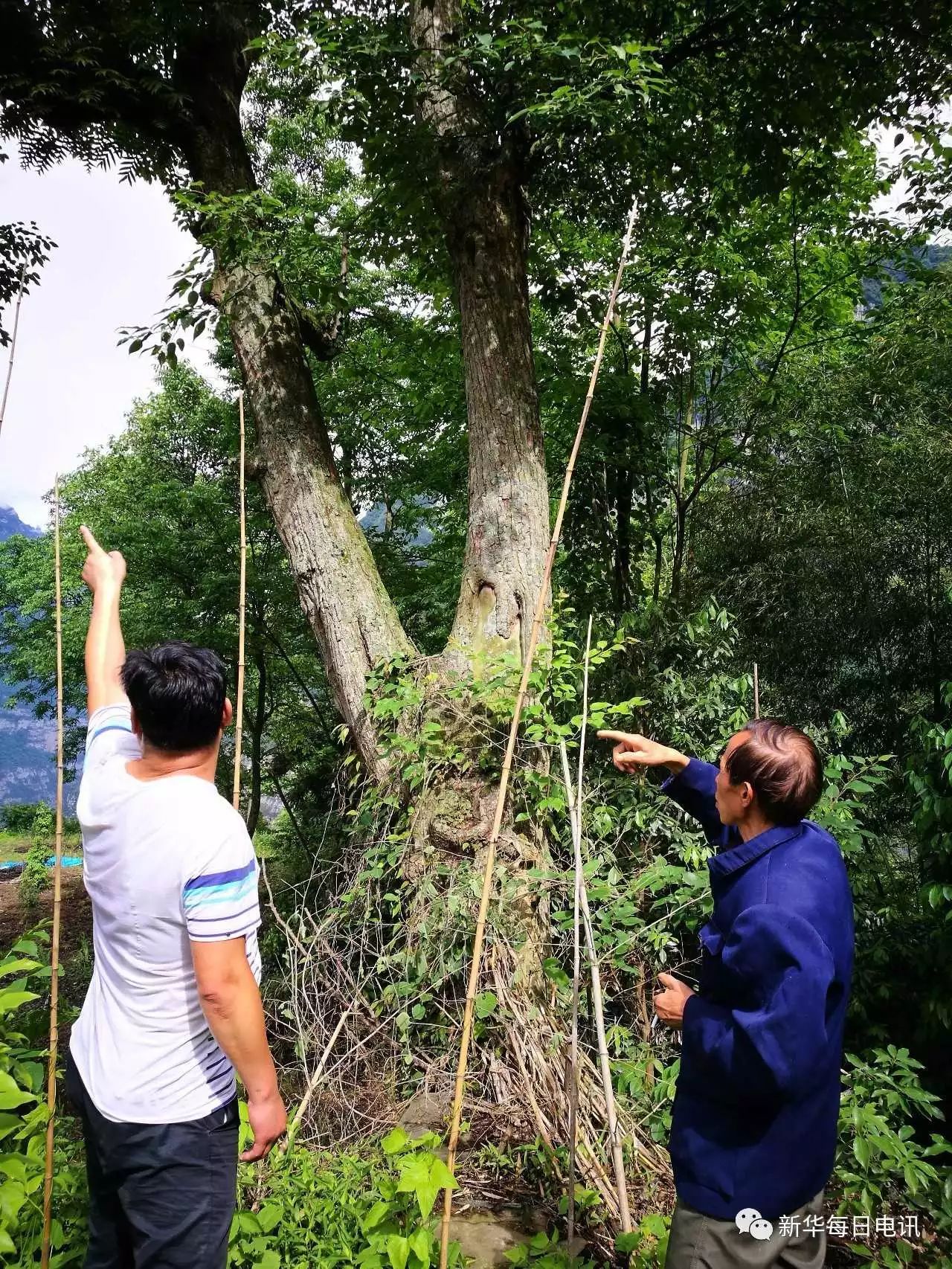 探訪雲端上的村莊，穿越天上人間 科技 第12張