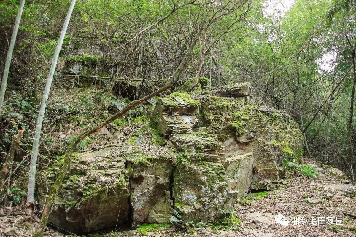 家乡美 湘中天门大山印象