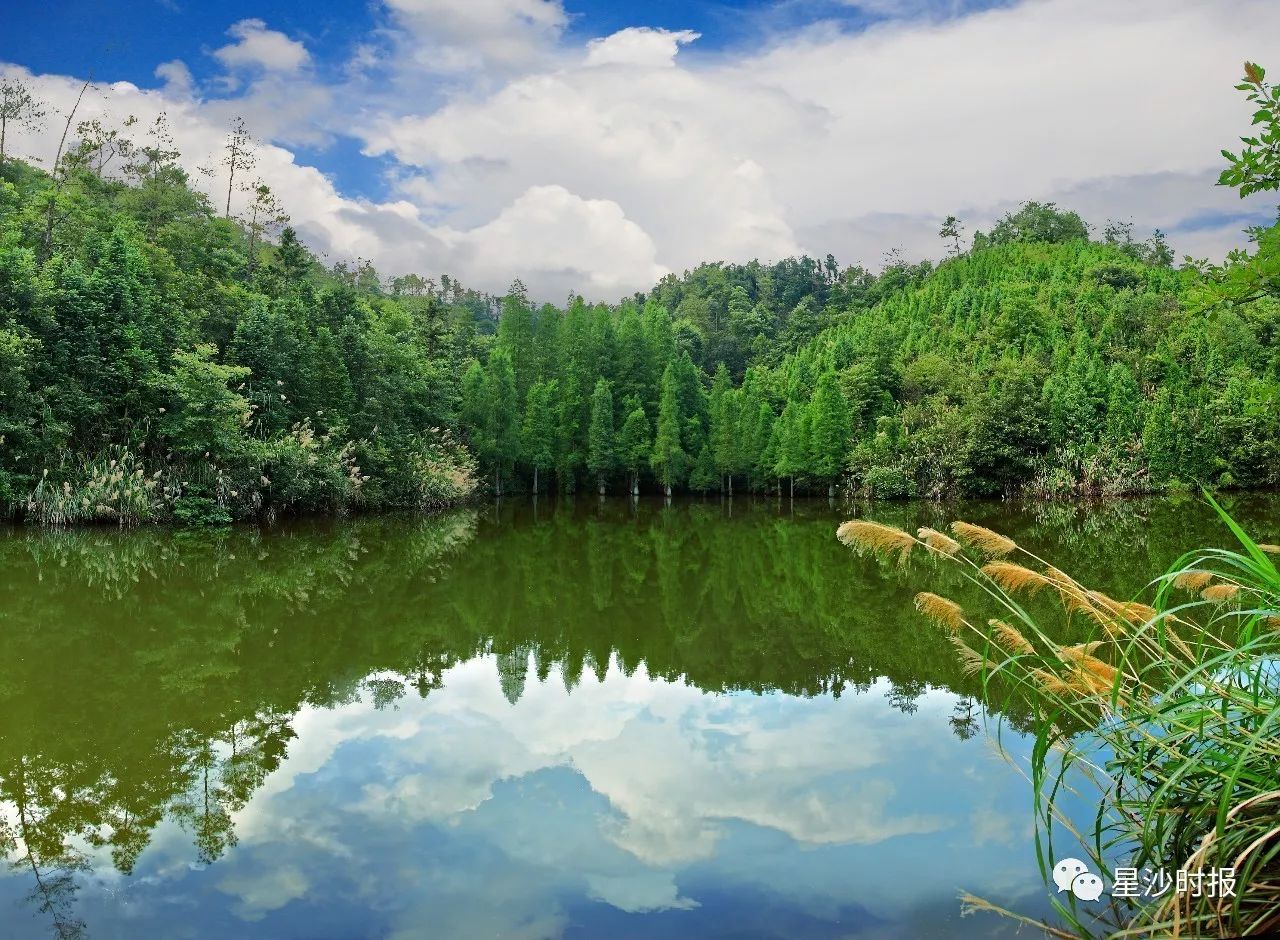 长沙县最全爬山地图!景观,用餐,路线统统有.周末天气好,约起!