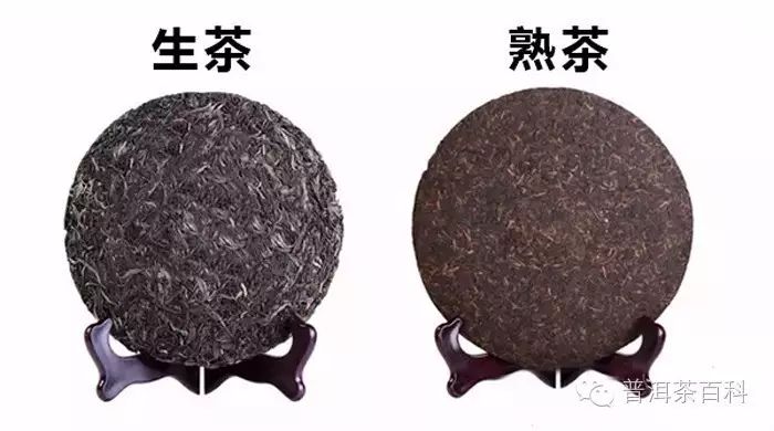 【普洱茶百科】不管生茶,熟茶适合自己的就是好茶