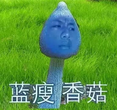 我现在满脑子都是这个表情↓