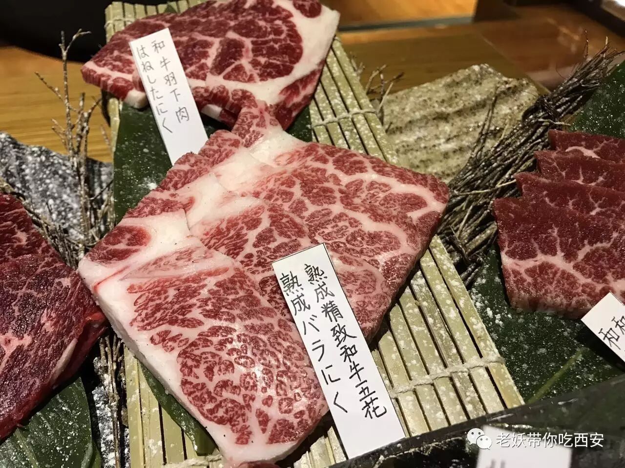 牛的肋条肉在哪个部位_牛部位肉肋条是哪个部位_牛肋条肉是牛的哪个部位