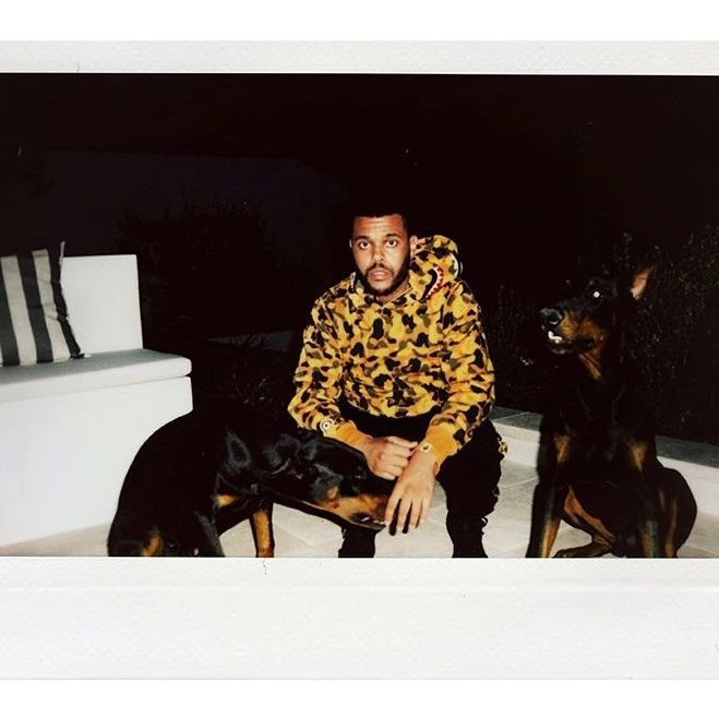 The Weeknd 亲自示范,A BATHING APE x XO 联名系列造型 Lookbook 发布