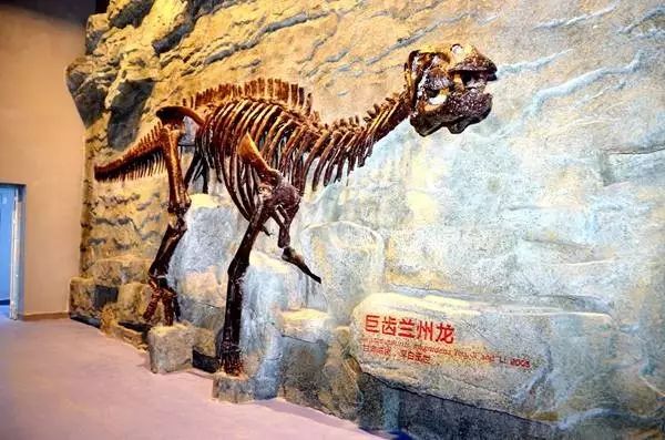 短短俩月累计接待人次达五万人!甘肃农业大学认知馆里