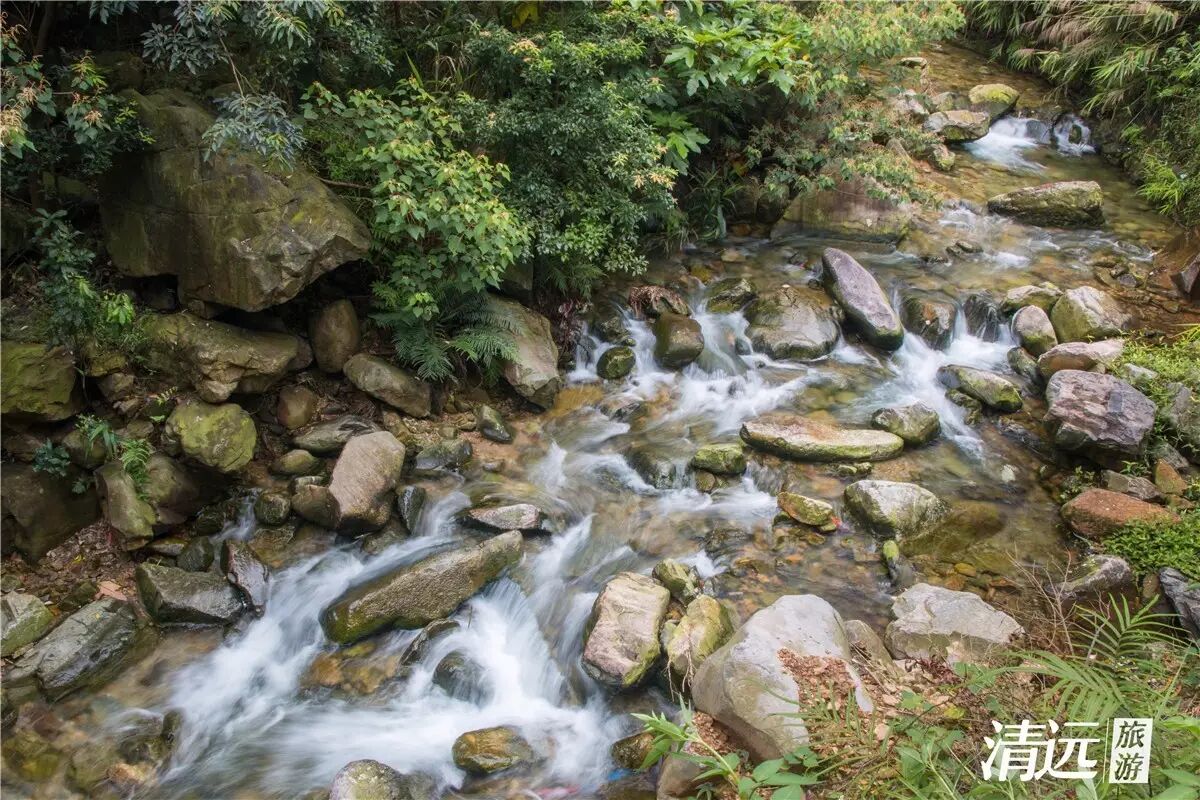 泉水淙淙意思_泉水淙淙_南溪淙淙在线阅读