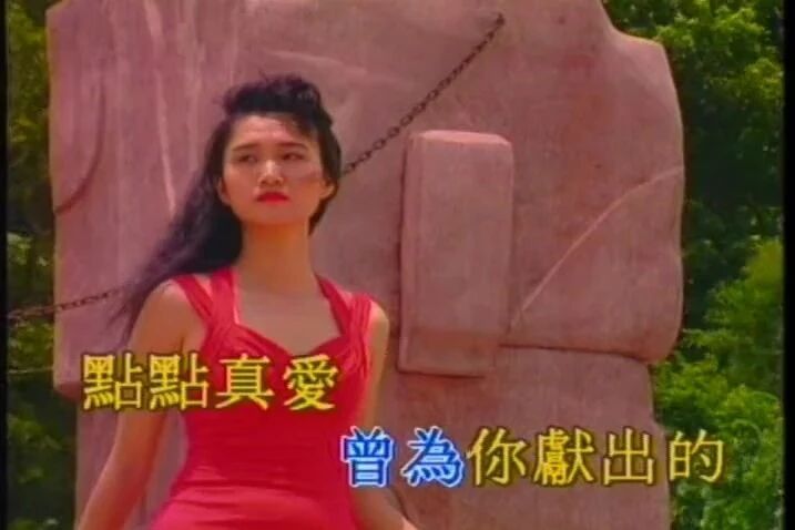 《不装饰你的梦》蔡国权 MV